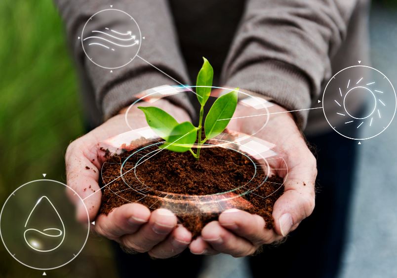 Агроинновации 2025: как технологии меняют сельское хозяйство